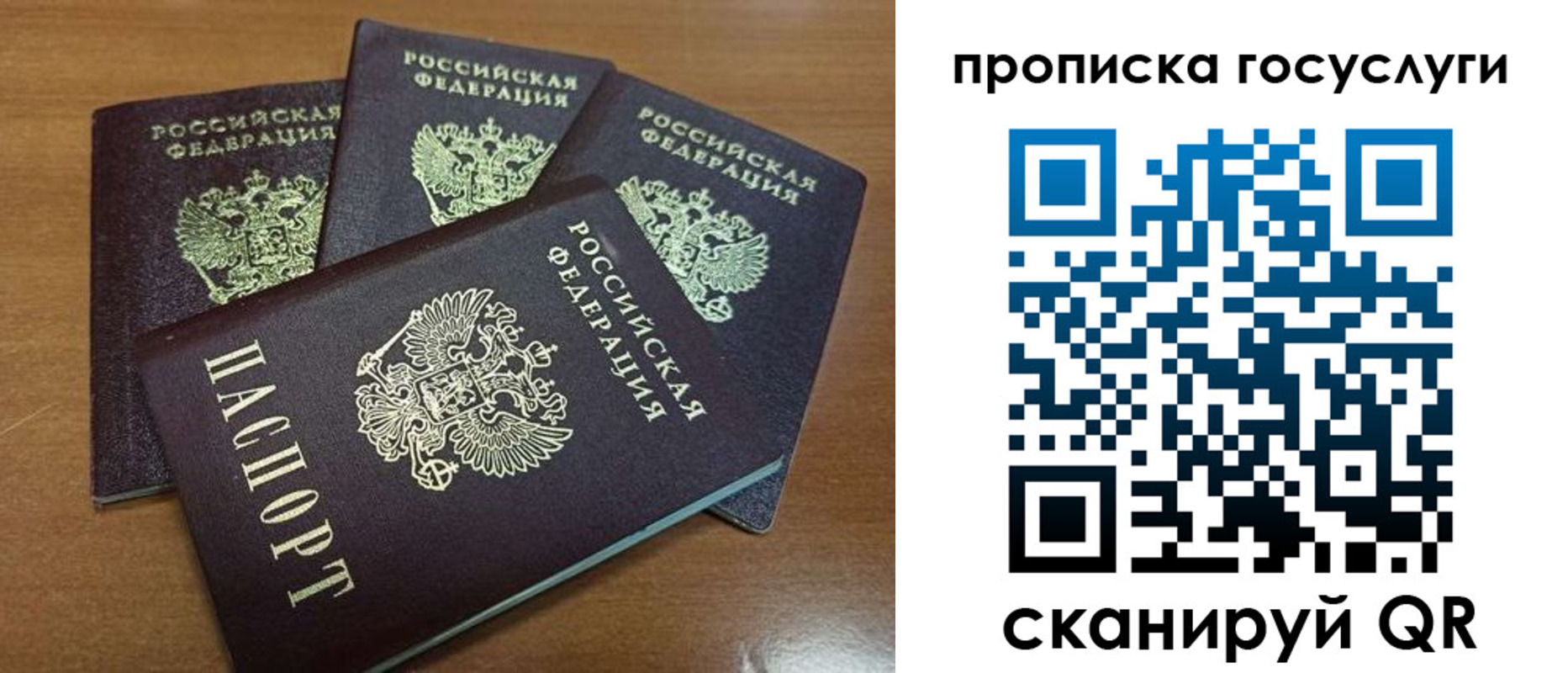 прописка 2025 в Скопине